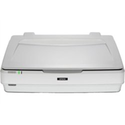 Epson Expression 13000XL - 310 x 437 mm - 2400 x 4800 DPI - 16 bit - 48 bit - Flatbed scanner - White