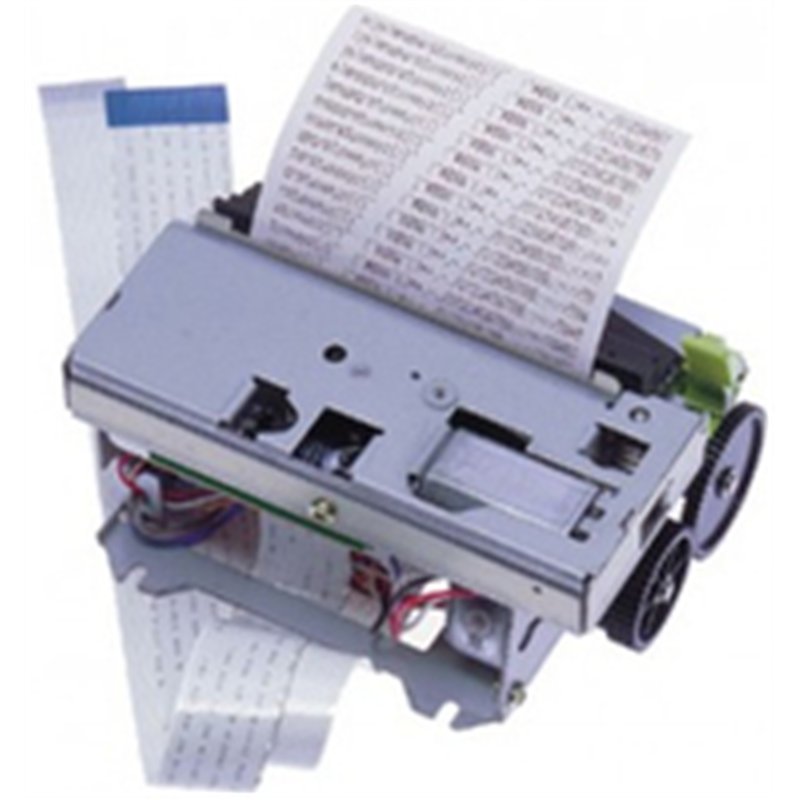 Epson C41D420001 - Metallic - 1 pc(s)