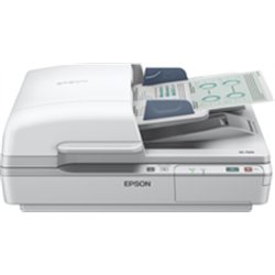 Epson WorkForce DS-6500 - 215.9 x 1016 mm - 1200 x 1200 DPI - 48 bit - 24 bit - Flatbed & ADF scanner - White