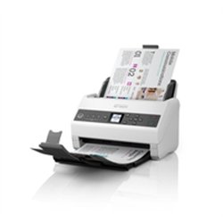 Epson DS-730N - 215.9 x 6096 mm - 600 x 600 DPI - 30 bit - 24 bit - 10 bit - 8 bit