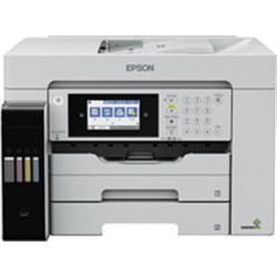 Epson M15180 - Inkjet - Mono printing - 4800 x 1200 DPI - A4 - Direct printing - Black - Grey