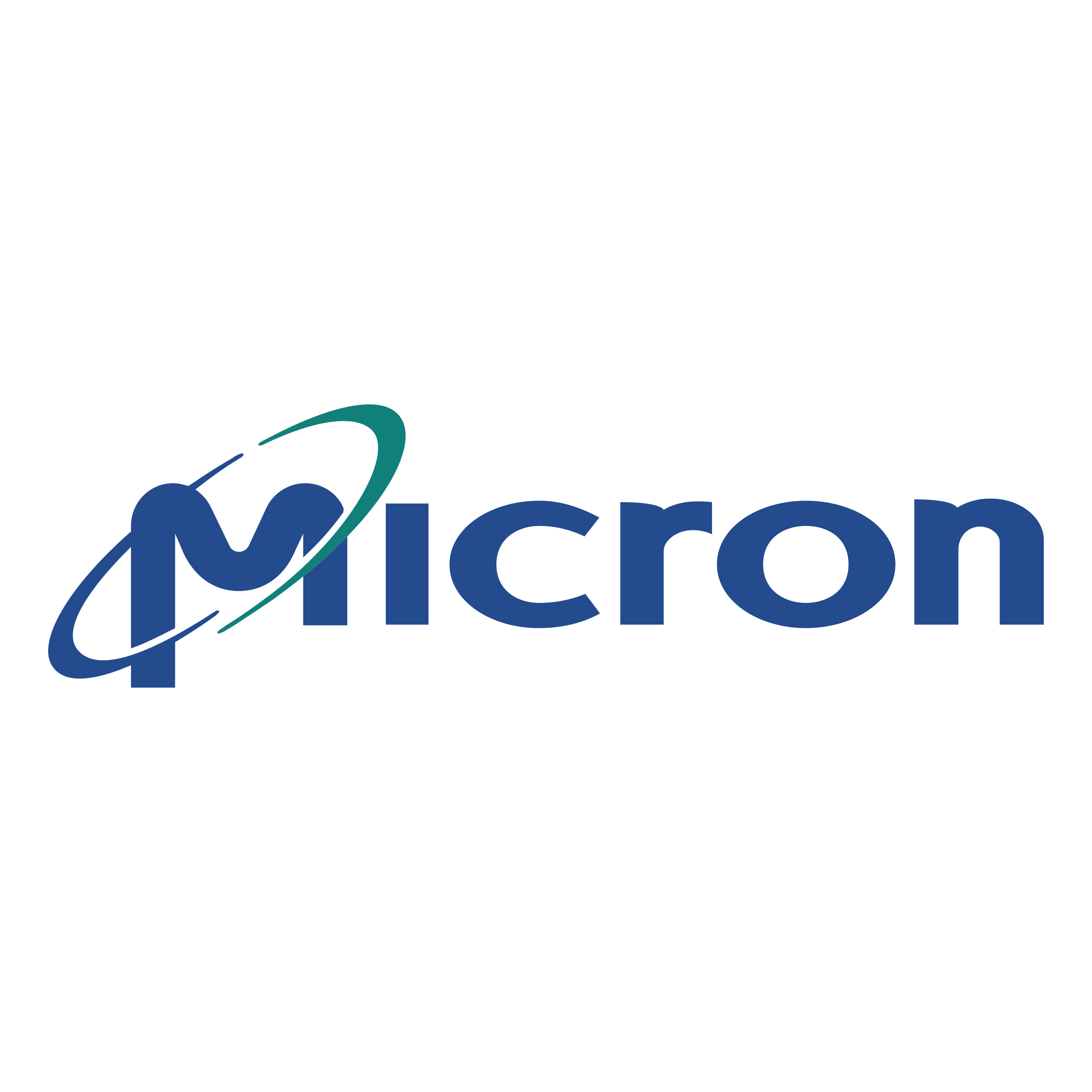 Micron